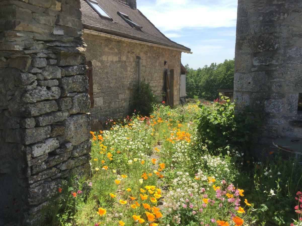 Les Gites Perard Caylus Eksteriør bilde